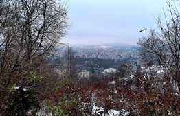 Teren intravilan, 928 mp, zona strazii Uliului