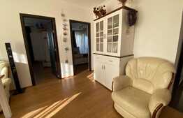 Oportunitate BLITZ ! Apartament decomandat, mobilat, 63 mp, zona VIVO !