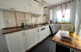 Oportunitate BLITZ ! Apartament decomandat, mobilat, 63 mp, zona VIVO !