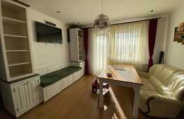 Oportunitate BLITZ ! Apartament decomandat, mobilat, 63 mp, zona VIVO !