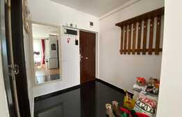 Oportunitate BLITZ ! Apartament decomandat, mobilat, 63 mp, zona VIVO !