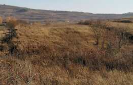 Oportunitate! Teren intravilan Colonia Sopor, 1546,5 mp.