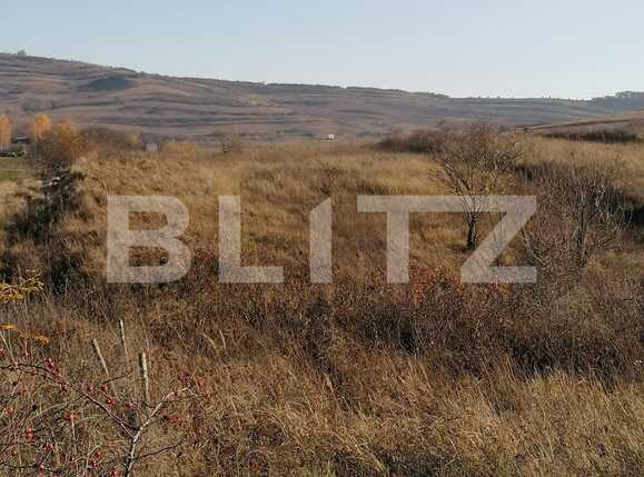 Teren de vânzare Borhanci - 58551TV | BLITZ Cluj-Napoca | Poza3
