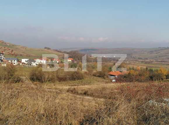 Teren de vânzare Borhanci - 58551TV | BLITZ Cluj-Napoca | Poza1
