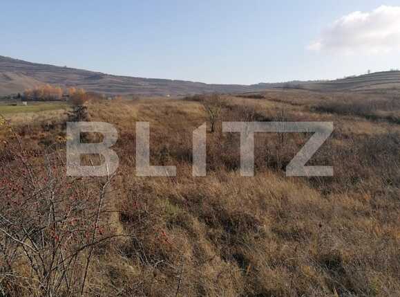 Teren de vânzare Borhanci - 58551TV | BLITZ Cluj-Napoca | Poza2