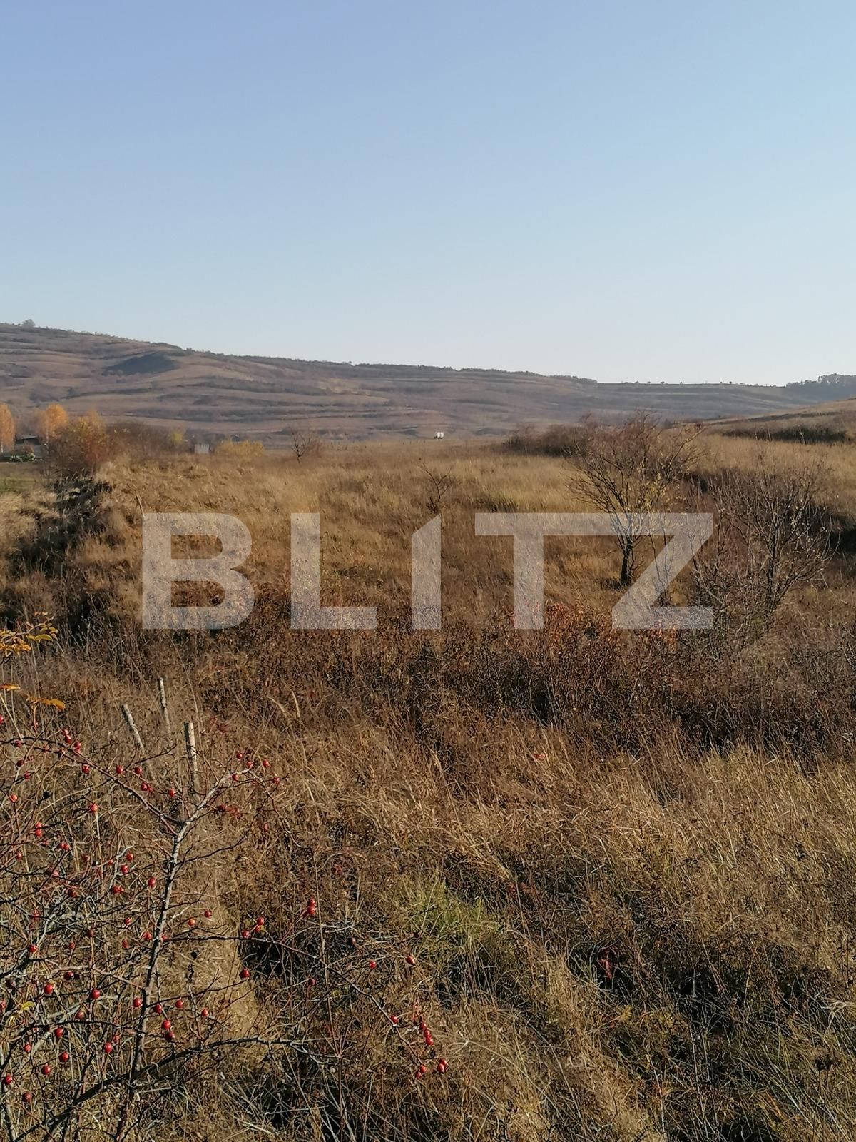 Teren de vânzare Borhanci - 58551TV | BLITZ Cluj-Napoca | Poza3