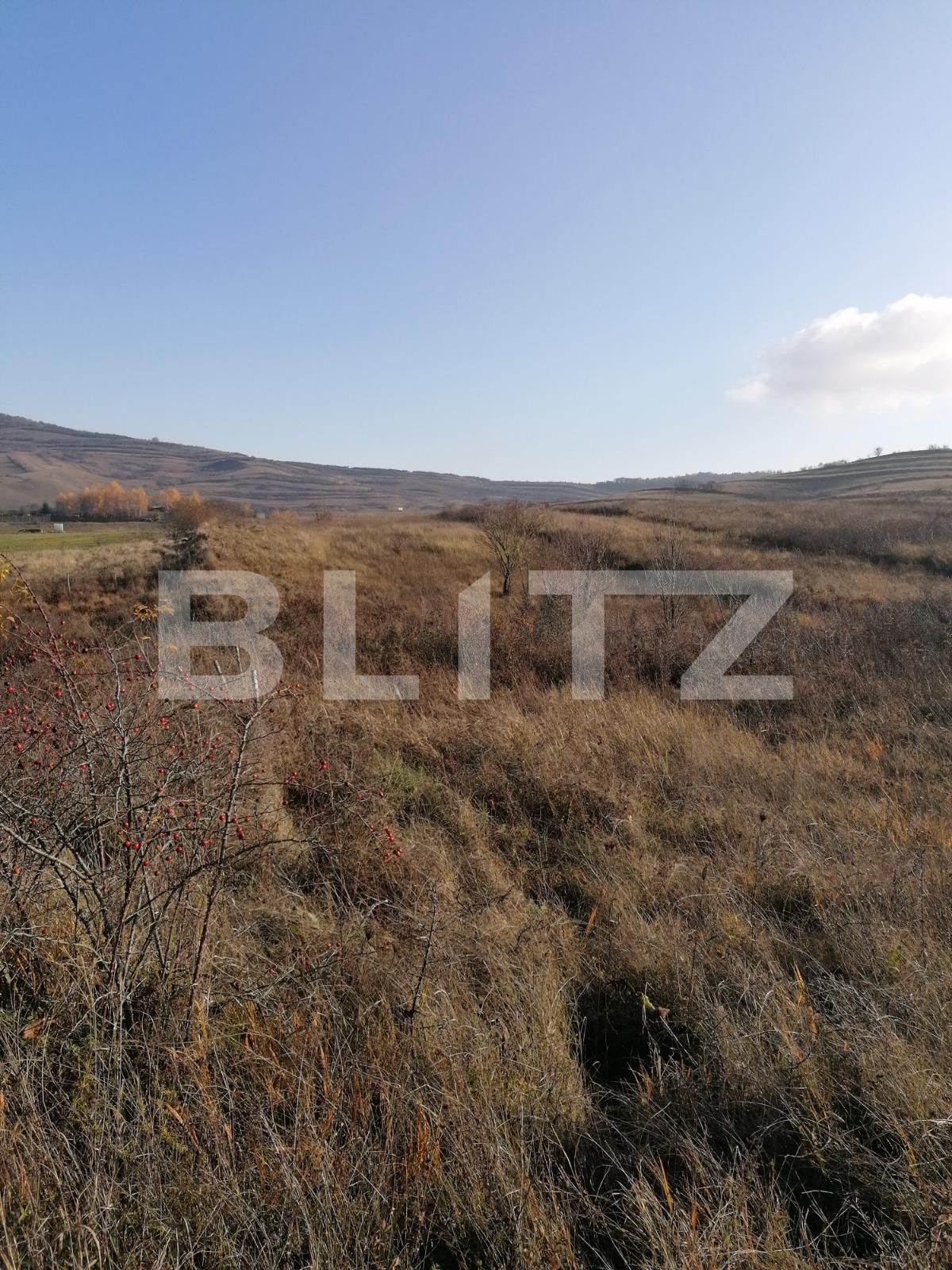 Teren de vânzare Borhanci - 58551TV | BLITZ Cluj-Napoca | Poza2