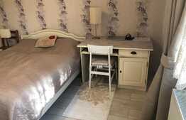 Apartament 2 camere, decomandat, 55 mp, pet friendly, zona Parcul Central