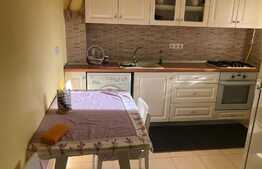 Apartament 2 camere, decomandat, 55 mp, pet friendly, zona Parcul Central