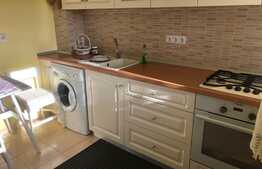 Apartament 2 camere, decomandat, 55 mp, pet friendly, zona Parcul Central