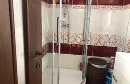 Apartament 2 camere, decomandat, 55 mp, pet friendly, zona Parcul Central