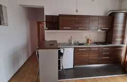 Apartament 2 camere, 50 mp, terasa 20 mp, zona strazii Jupiter