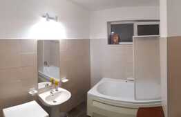 Apartament 2 camere, 50 mp, terasa 20 mp, zona strazii Jupiter