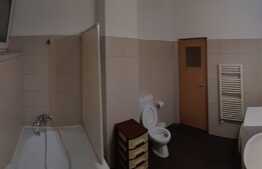 Apartament 2 camere, 50 mp, terasa 20 mp, zona strazii Jupiter