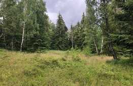 Teren 8413 mp, front 60 ml, Dealu Negru