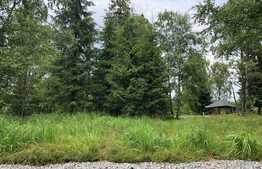 Teren 8413 mp, front 60 ml, Dealu Negru