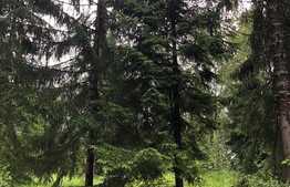 Teren 8413 mp, front 60 ml, Dealu Negru