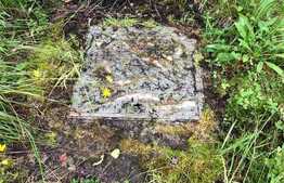 Teren 8413 mp, front 60 ml, Dealu Negru