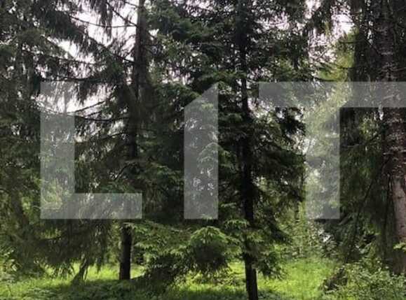 Teren de vânzare Exterior Vest - 58564TV | BLITZ Cluj-Napoca | Poza4