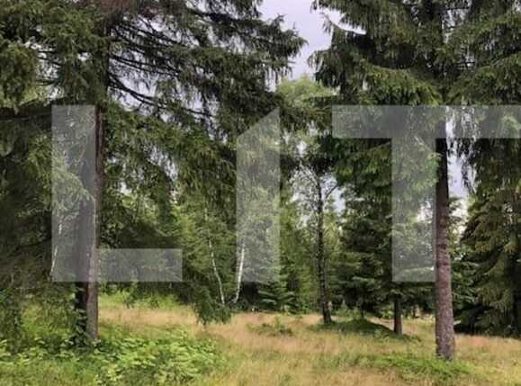 Teren de vânzare Exterior Vest - 58564TV | BLITZ Cluj-Napoca | Poza3