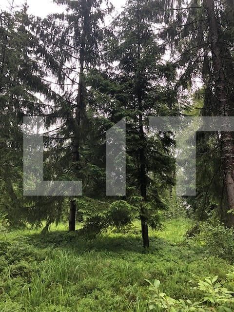 Teren de vânzare Exterior Vest - 58564TV | BLITZ Cluj-Napoca | Poza4