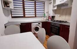 Apartament cu 2 camere decomandate, pet friendly, loc de parcare, mobilat modern, 50 de mp, zona strazii Siretului