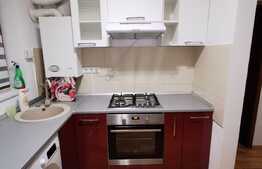 Apartament cu 2 camere decomandate, pet friendly, loc de parcare, mobilat modern, 50 de mp, zona strazii Siretului