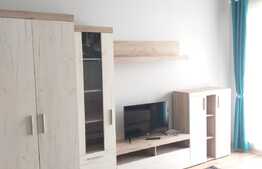 Apartament 2 camere decomandate, 63 mp, zona Abatorului