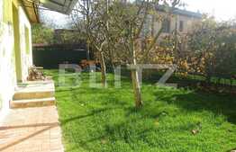 Casa individuala de vanzare, 50 mp utili, 370 mp curte, Grigorescu
