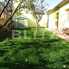 Casa de vânzare 2 camere Grigorescu - 58602CV - Poza 1 din 14 | BLITZ Cluj-Napoca | Poza1