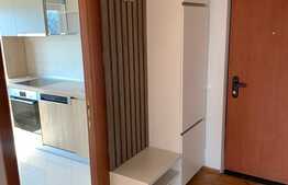 Apartament 2 camere decomandat, 51 mp, zona Belvedere