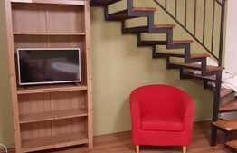 Casa 2 dormitoare, living, 80 mp, gradina, terasa, zona Eroilor