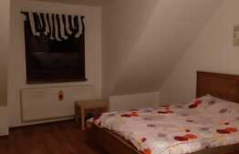 Casa 2 dormitoare, living, 80 mp, gradina, terasa, zona Eroilor