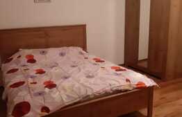 Casa 2 dormitoare, living, 80 mp, gradina, terasa, zona Eroilor