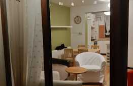 Casa 2 dormitoare, living, 80 mp, gradina, terasa, zona Eroilor