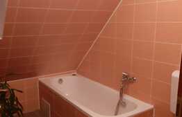 Casa 2 dormitoare, living, 80 mp, gradina, terasa, zona Eroilor