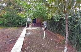 Casa cuplata 45 mp utili, teren 346 mp, cartier Bulgaria!