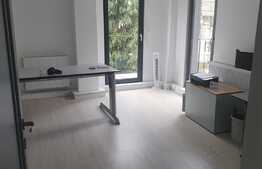 Cladire de birouri, 360 mp, in Grigorescu, curte privata cu bariera