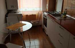 Apartament 2 camere decomandate, 55 mp, zona Florilor