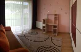 Apartament 2 camere decomandate, 50 mp, zona Porii