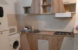 Apartament 2 camere, 50 mp, zona Muzeul Apei