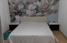 Apartament 2 camere, 50 mp, zona Muzeul Apei