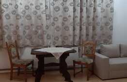 Apartament 2 camere, 50 mp, zona Muzeul Apei