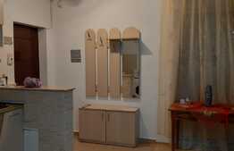 Apartament 2 camere, 50 mp, zona Muzeul Apei