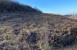 OPORTUNITATE! Teren intravilan, 4000 mp, zona Terra! Exclusivitate!