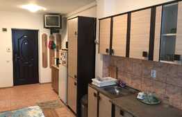 Apartament cu o camera, 31mp+ balcon 6 mp. Zona Porii!