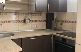 Garsoniera de inchiriat, 30 mp, loc de parcare, cartier Gheorgheni, zona strazii Detunata