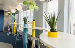 Birouri All-inclusive, 300-1000 mp, MOBILATE SI ECHIPATE, cladire clasa A