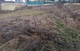 Teren 1000 mp, front stradal 25m, Borhanci, PUZ in lucru