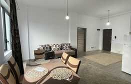 2 camere, 65m, terasa,  pet friendly, zona Piata Mihai Viteazu